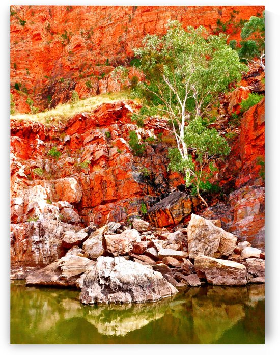 Life in the Gorge - Ormiston Gorge by Lexa Harpell