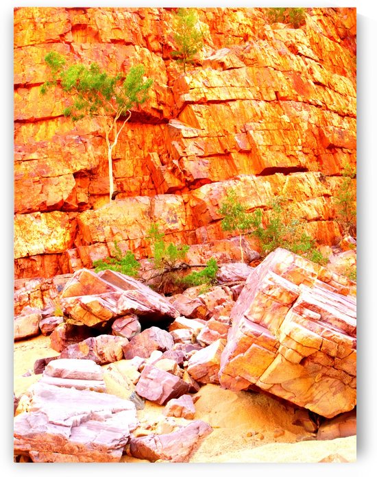 Surviving - Ormiston Gorge by Lexa Harpell