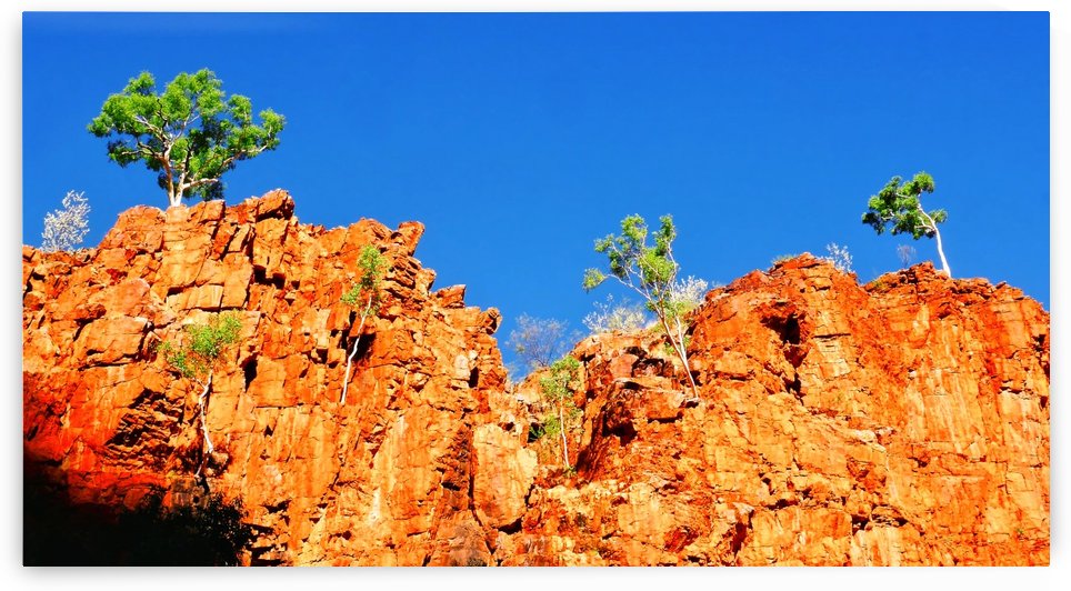 Skyline - Ormiston Gorge by Lexa Harpell