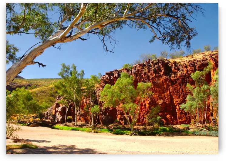 Dry River - Ormiston Gorge by Lexa Harpell