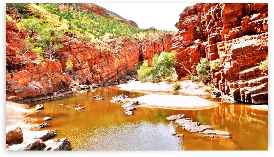 Waterhole - Ormiston Gorge by Lexa Harpell
