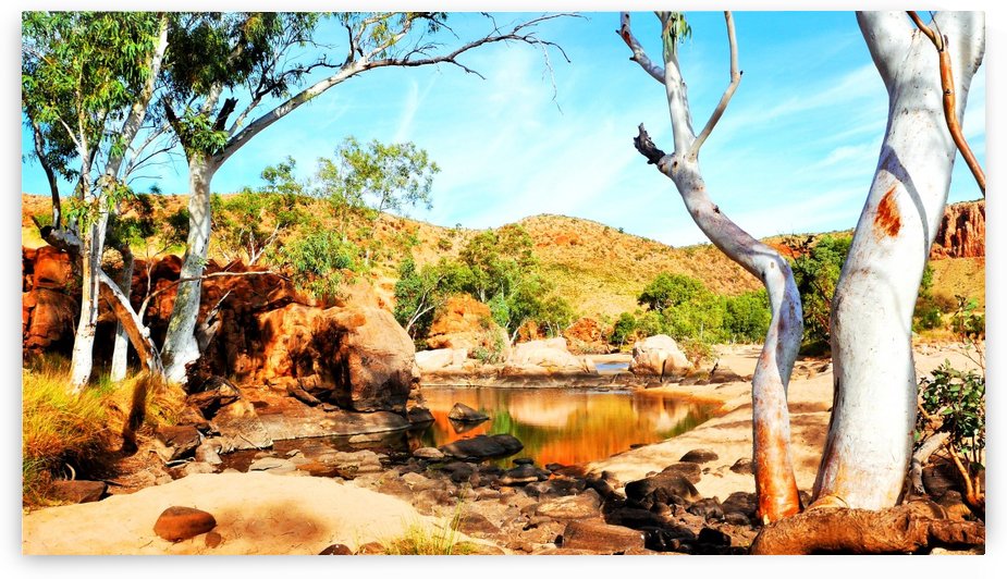 Ghost Gum - Central Australia by Lexa Harpell