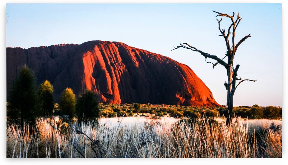 Uluru at Dawn - 1 by Lexa Harpell
