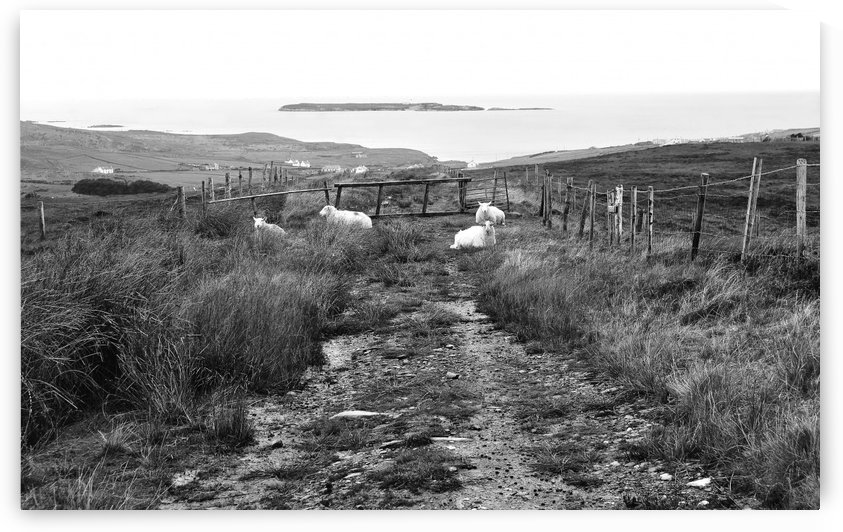 Path to Malin Beg in Autumn in BW by Lexa Harpell