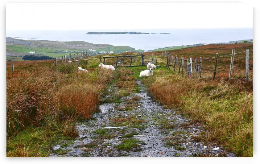 Path to Malin Beg in Autumn by Lexa Harpell