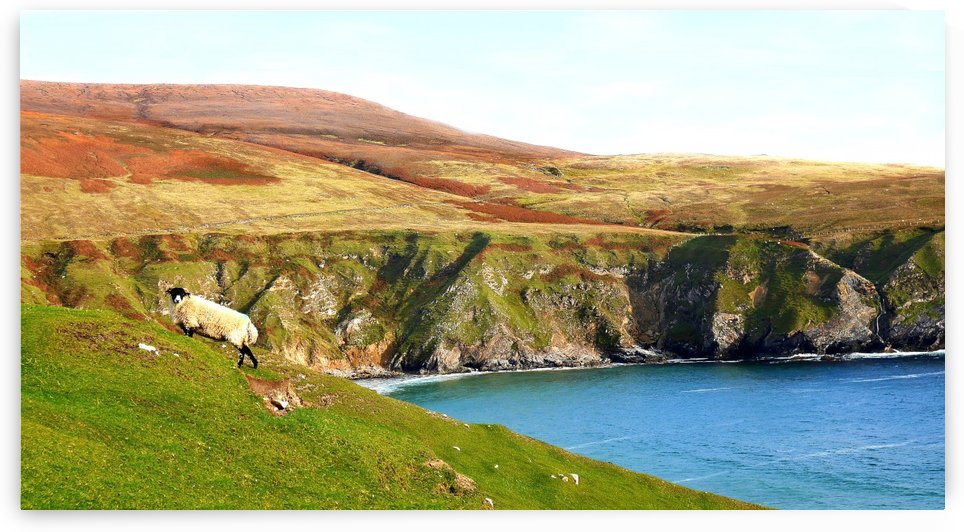 Cliff Posing - Country Donegal by Lexa Harpell