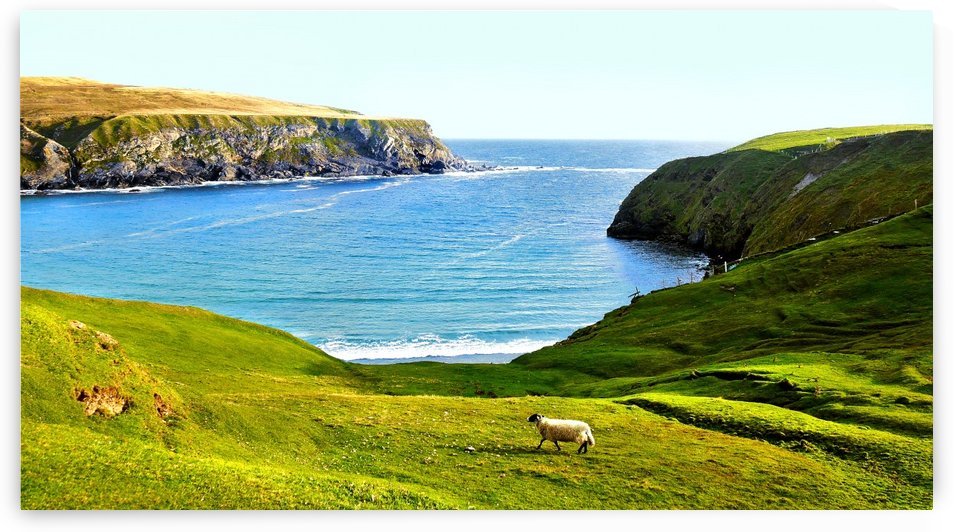Silver Strand Beach - County Donegal by Lexa Harpell