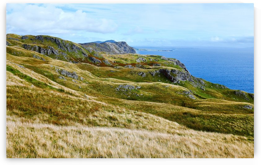 Autumn Colours Of Ireland 4 by Lexa Harpell