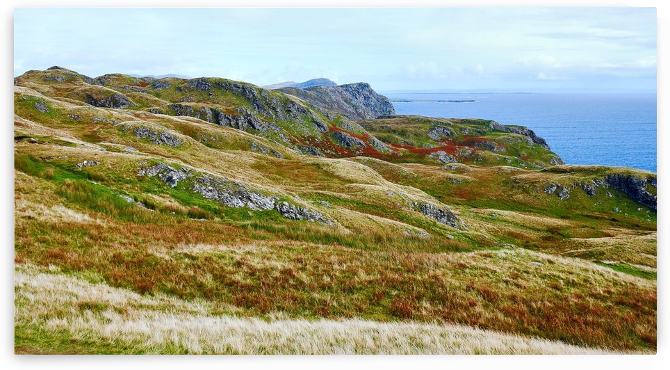 Autumn Colours of Ireland 3 by Lexa Harpell
