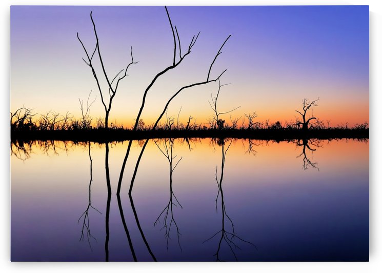Reflections on Pamamaroo Lake by Lexa Harpell