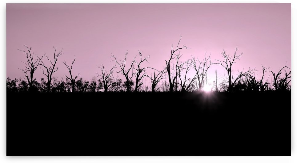 Setting Sun on Pamamaroo Lake - Monotone by Lexa Harpell