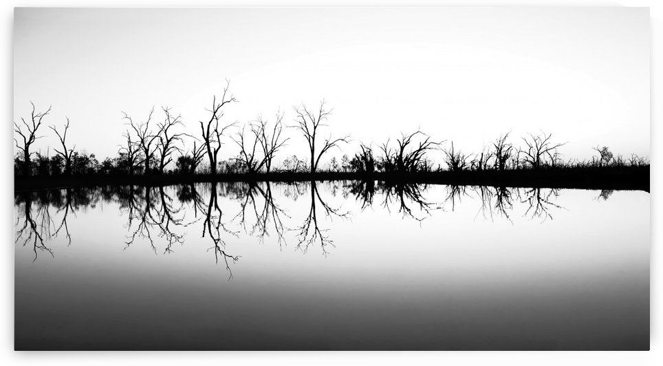 Sunset on Pamamaroo Lake in B&W by Lexa Harpell
