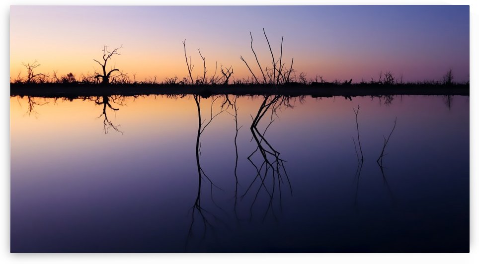 Moonlight on Pamamaroo Lake by Lexa Harpell