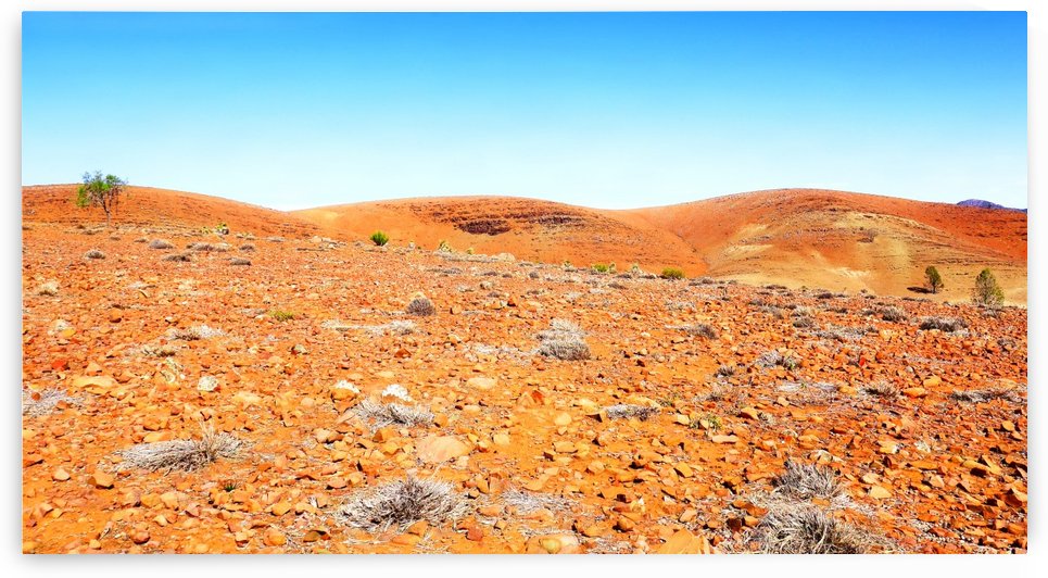 Rocky Landscape of the Flinders Ranges by Lexa Harpell