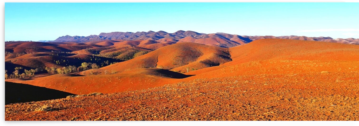 Golden Hour on the Flinders Ranges by Lexa Harpell