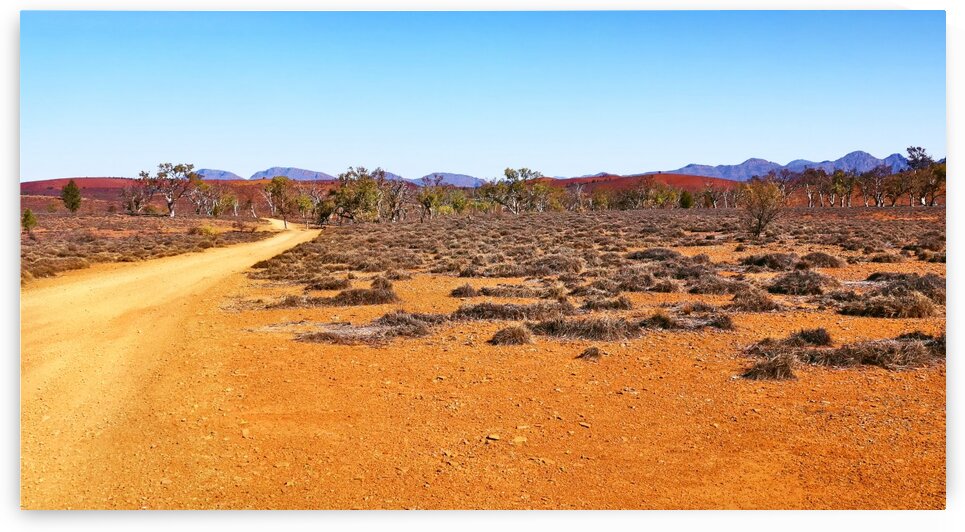Track in the Outback 2 by Lexa Harpell