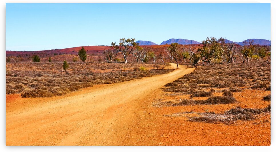 Track in the Outback by Lexa Harpell