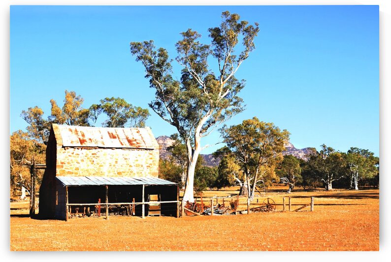 Old Wilpena Station 1 by Lexa Harpell