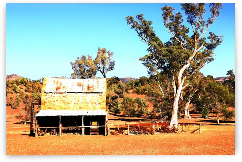 Old Wilpena Station 2 by Lexa Harpell