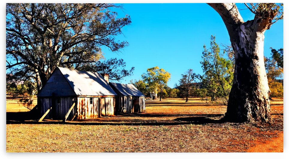 Old Wilpena Station 5 by Lexa Harpell