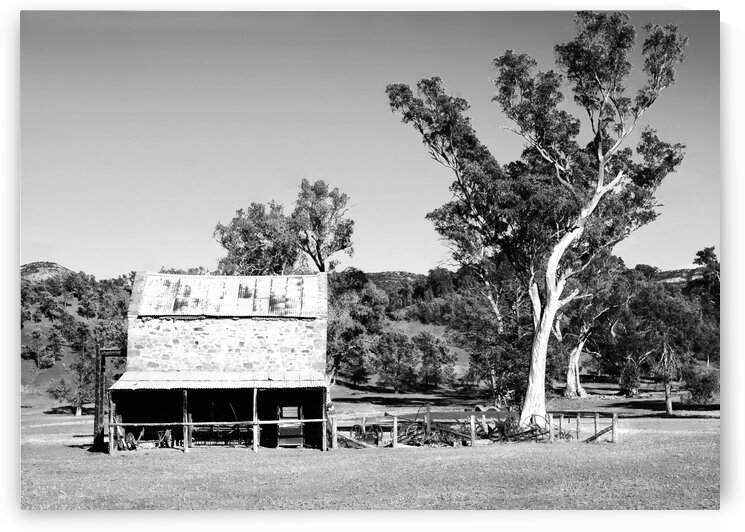 Old Wilpena Station 2 BW  by Lexa Harpell