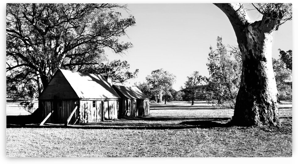 Old Wilpena Station 5 BW by Lexa Harpell