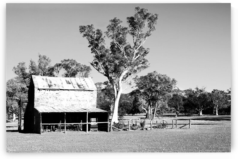 Old Wilpena Station 1 BW by Lexa Harpell