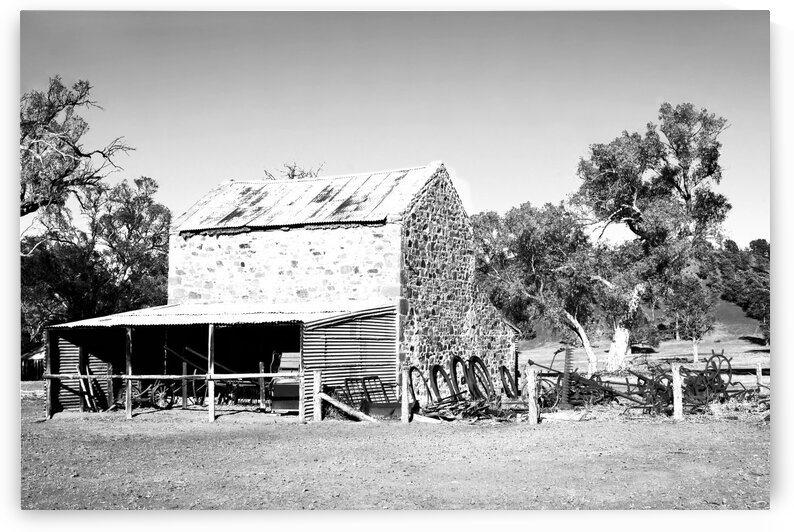 Old Wilpena Station 4 BW  by Lexa Harpell