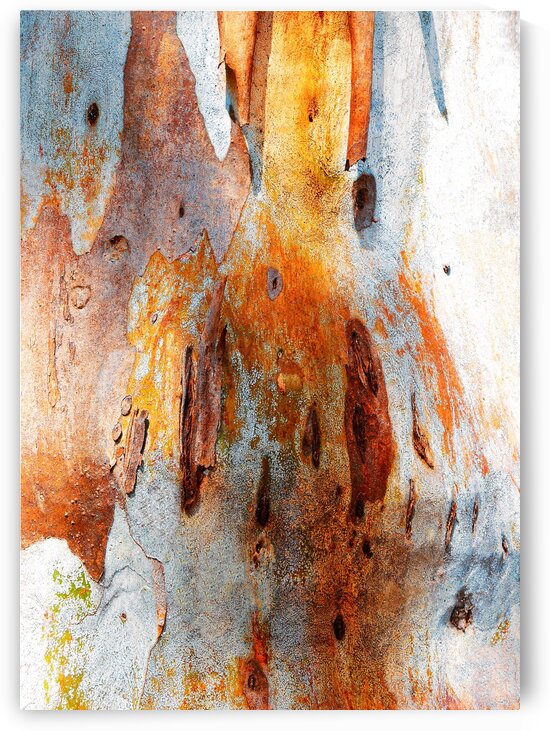 Gum Tree Bark - Mt Remarkable 2 by Lexa Harpell