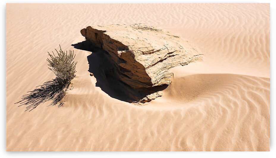 Rock Abstracts - Mungo NP by Lexa Harpell