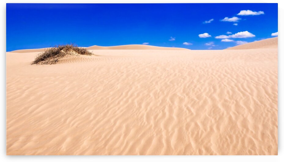 Pink Sandhills - Mungo NP by Lexa Harpell