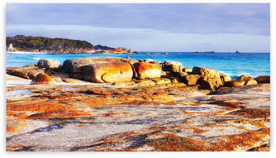 Bay of Fires Beach by Lexa Harpell