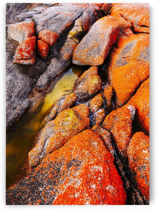 Rock Abstract - Bay of Fires by Lexa Harpell