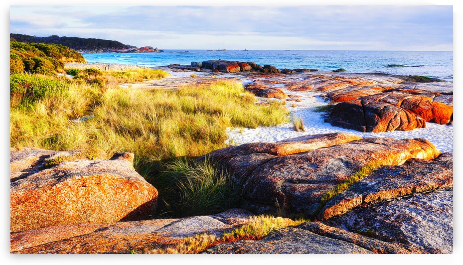 Sunrise on Bay of Fires by Lexa Harpell