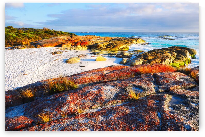Beach Sunrise - Bay of Fires by Lexa Harpell