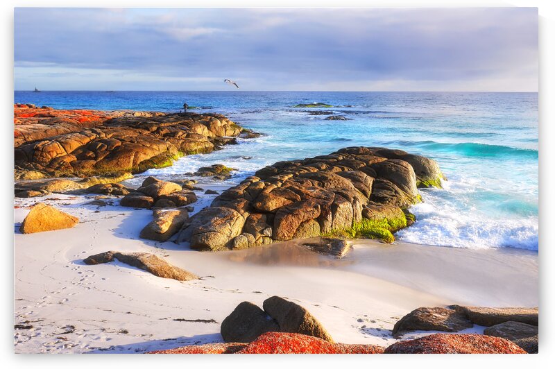 Morning Fishing - Bay of Fires by Lexa Harpell