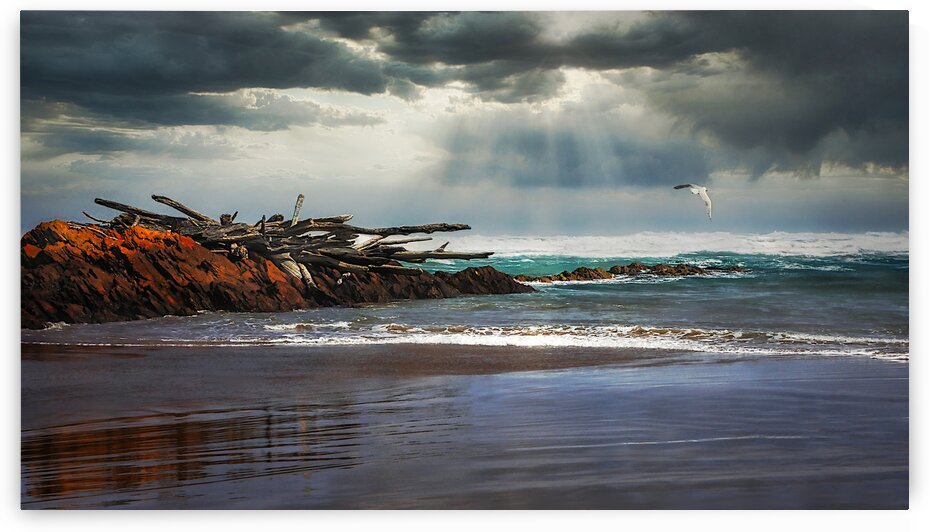 Soaring on The Edge of the World by Lexa Harpell