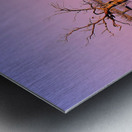 Twin Reflections - Pamamaroo Lake Metal print