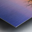 Sunset Silhouette Metal print