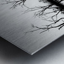 B W Lake Sunset Metal print