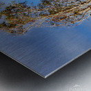 After the Storm Metal print