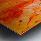 Salmon Bark Metal print