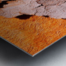 Salmon Bark Peeling 2 Metal print