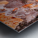 Pine Tree Bark Metal print