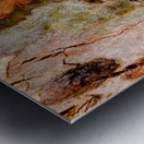 Ghost Gum Bark - 3 Metal print