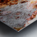 Ghost Gum Bark - 4 Metal print