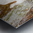 Ghost Gum Bark - 5 Metal print
