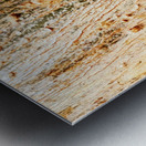 Aussie Gum Tree Bark - 1 Metal print