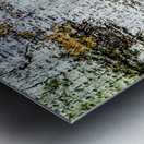 Aussie Gum Tree Bark - 2 Metal print