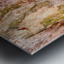 Aussie Gum Tree Bark - 3 Metal print